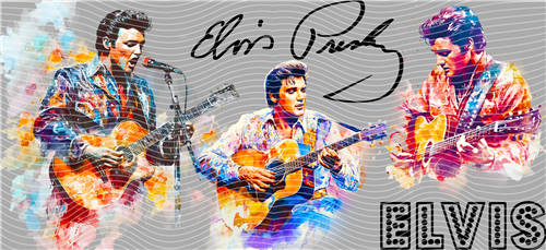 16oz Star Singer-O 270